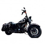 1998 Harley Davidson FXSTS Springer Softail (1)