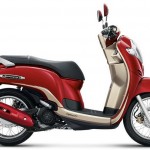 Scoopy  i_1