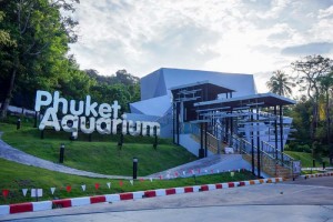 phuket aquarium (1)