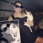 5.1 “มารายห์ แครี่” (Mariah Carey) กับน้องหมาพันธุ์ Jack Russell