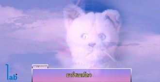 ปันปัน ยีย์ยีย์ สุดเจ๋ง  แต่งเพลงให้เจ้าแมวสีขาว ที่มีชื่อว่า “Marshmallow” 