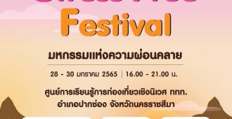 Stress Free Festival