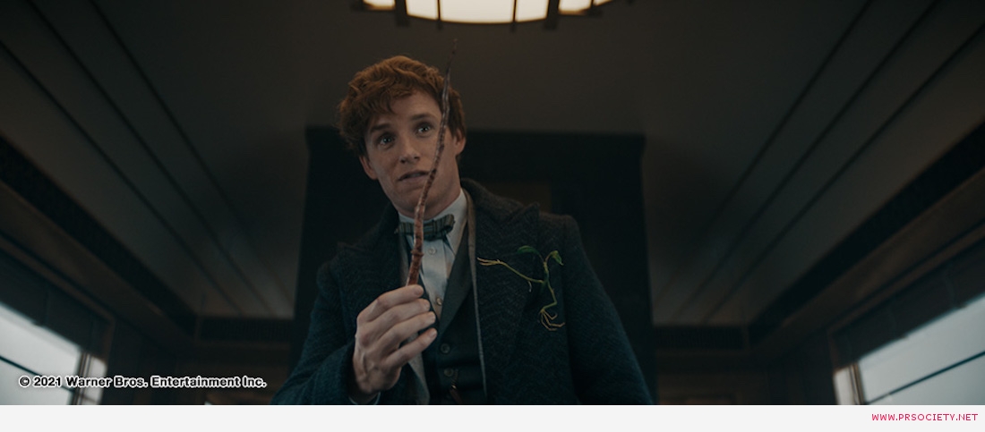 FANTASTIC BEASTS: THE SECRETS OF DUMBLEDORE