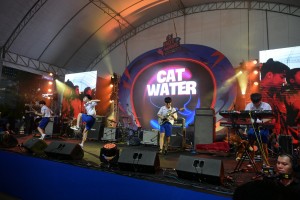 Cat Water 02